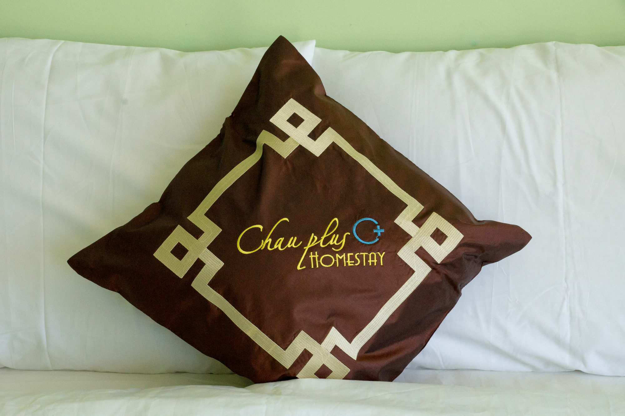 Chau Plus Homestay Hoi An Exterior foto